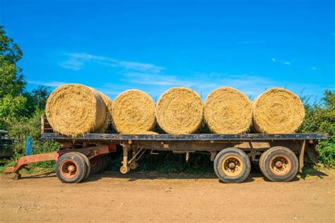 Big Hay Bales On A Trailer Stock Photo Image Of Harvest 99602416