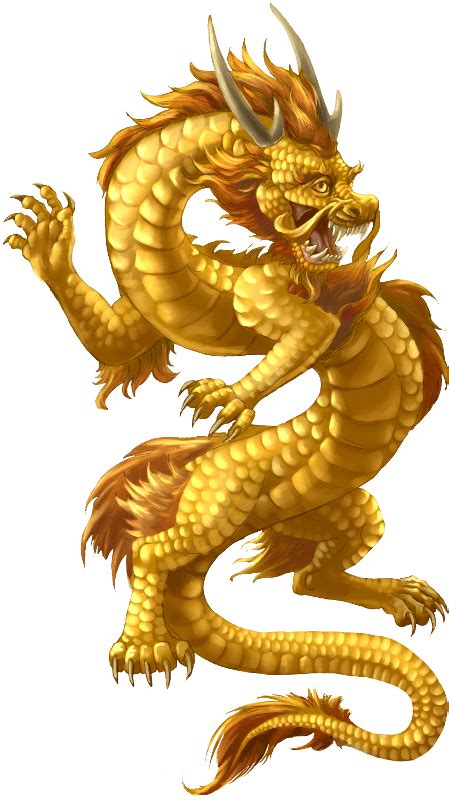 Chinese Dragon Gold Transparent Png Stickpng