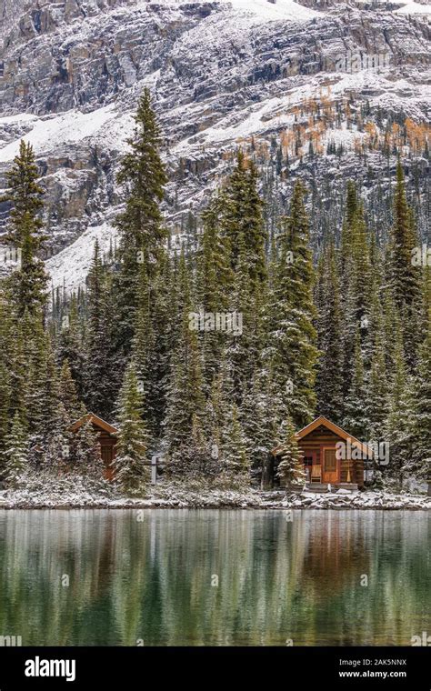 Log Cabins Of Lake Ohara Lodge Along The Shore Of Lake Ohara In