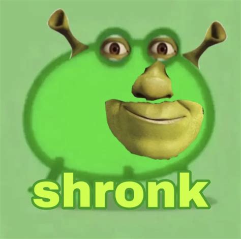 Shrek Meme Pfp Although Fans For The Character