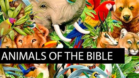 Animals Of The Bible Volume 1 Games Download Youth Ministry