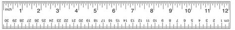 12 Inch Ruler Actual Size New Exclusive High End