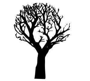 Clip Art Tree Trunk | Clipart Panda - Free Clipart Images Oak tree drawings no leaves.