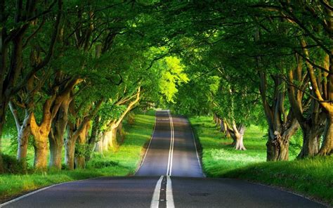 The Best 21 Nature Hd Wallpaper Download For Laptop Windows 10 - Draw-fever