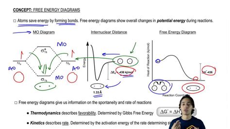 Identify The Parts Of The Energy Diagrams