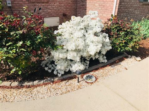 David Whisenant WBTV - Home | Facebook