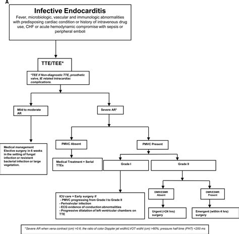 Aortic Regurgitation Pathophysiology