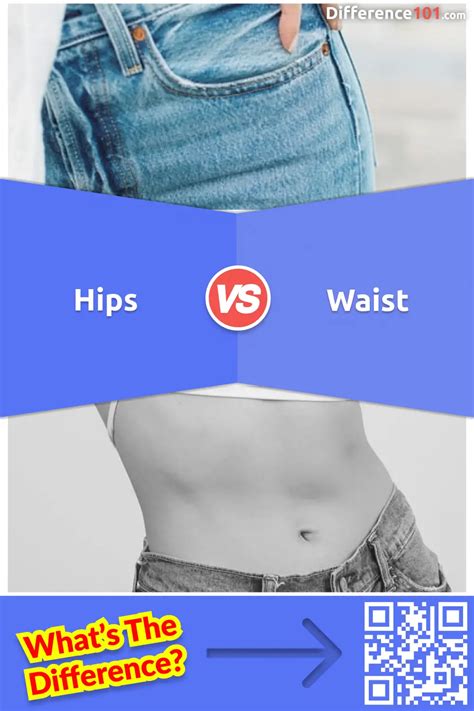 Hips Vs Waist 5 Key Differences And Examples To Know Difference 101