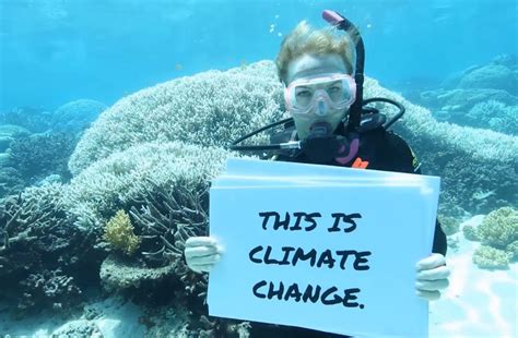 This industry has contributed to expansion in sales, job employments, income and tax revenue. How climate change impacts the Great Barrier Reef tourism ...