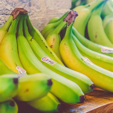 Unripe Bananas · Free Stock Photo