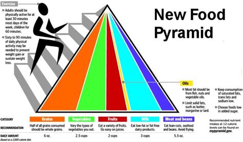 Old And New Food Pyramid With Pictures Eat Clean Or At Least As
