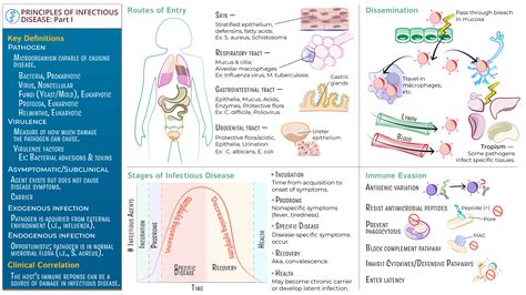 Immunology Microbiology Principles Of Infectious Disease Part 1