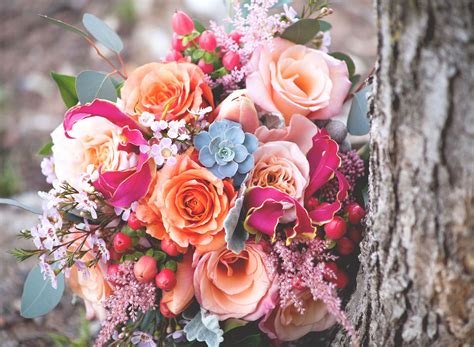 Maybe you would like to learn more about one of these? The Flower Cupboard - Local Florist | Same day delivery ...