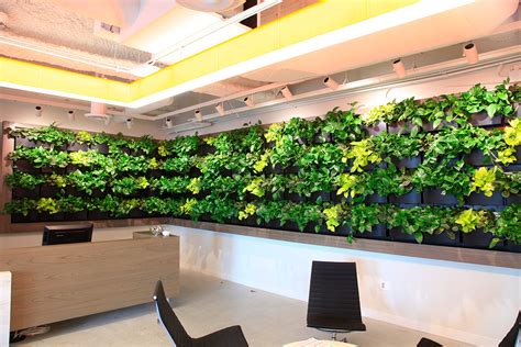 Smith Group Jjr Reception Area Wall Recently Trimmed Livewall Green