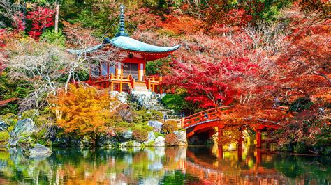 Nature Park With Lake Bridge Daigo Ji Japan Kyoto 4k Hd Travel
