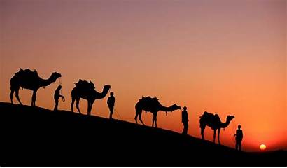 Rajasthan Travel Tour Camel Culture Sand Dunes