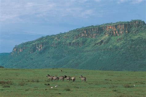 Ca 4 km von der stadt nakuru. Lake Nakuru National Park - Wildlife Galore