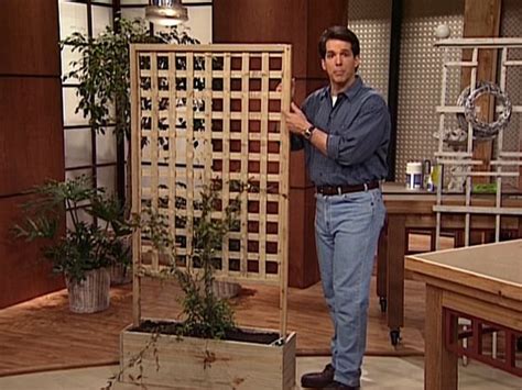 Lucky for us our shrubs(and the neighbors) grew quickly. DIY trellis with planter | gardening | Pinterest | Diy ...
