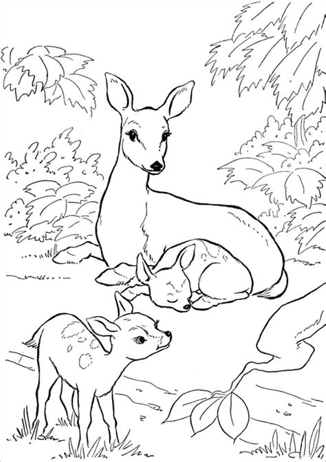 Mom And Baby Animal Coloring Pages Coloring And Drawing