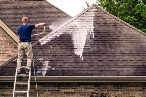 Tips Roof Cleaning Costs And Hidden Fees To Watch For