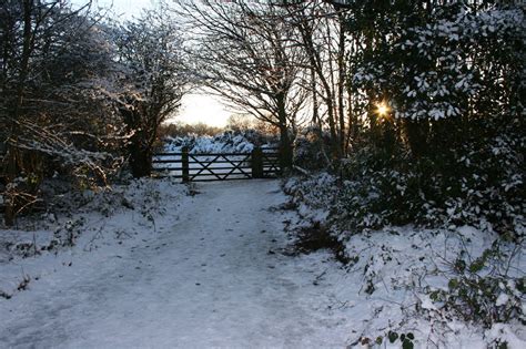 Snow Scene Free Stock Photo Public Domain Pictures