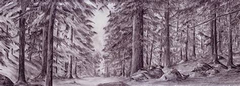 Evergreen On Twitter Beautiful Pencil Drawing Of Inverfarigaig Forest From Gilliesart Trees
