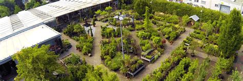 We did not find results for: Baumschule - Hephata Garten-Shop