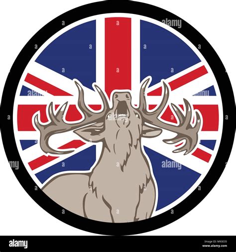 icon retro style illustration of a british red stag deer cervus elaphus roaring front view