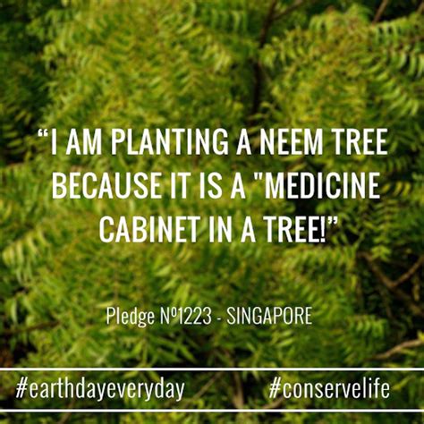 Read best tree plantation slogans in hindi, pedh lagao desh bachao quotes and slogans in we provide love, friendship, inspiration, poems, shayari, sms, wallpapers, image quotes in hindi and. I Am Planting A Neem Tree Because It Is A "medicine Cabinet In A Tree" - ForestNation