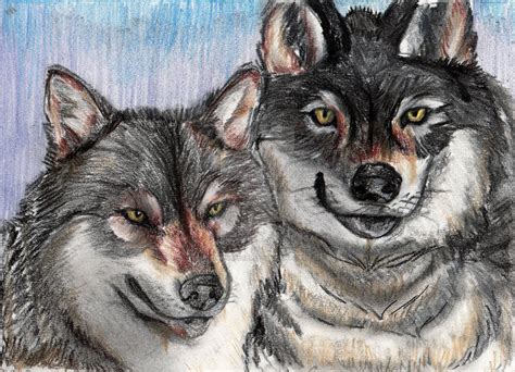 Wolf Buddies By Wolfwhisperer123 On Deviantart