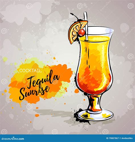 Hand Drawn Illustration Of Cocktail Tequila Sunrise Stock Vector Illustration Of Drawn Fresh