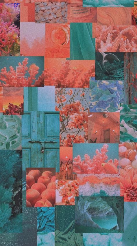 Turquoise And Coral Aesthetic Wallpaper Peach Wallpaper Coral