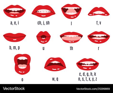 Mouth Sound Pronunciation Lips Phonemes Animation Vector Image Dc0
