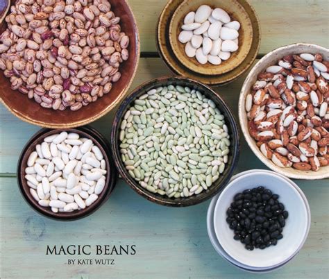 Magic Beans Edible Idaho