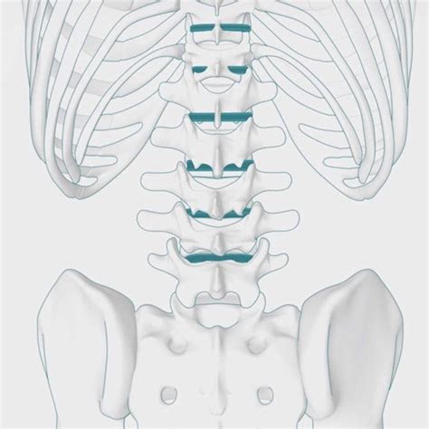 Spine Surgery Back And Neck Surgery Spire Healthcare