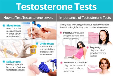 How To Test Your Testosterone Levels At Home Top 3 Physical Traits