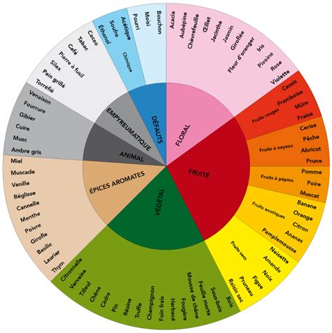 Odeurs du vin, nouvelle classification