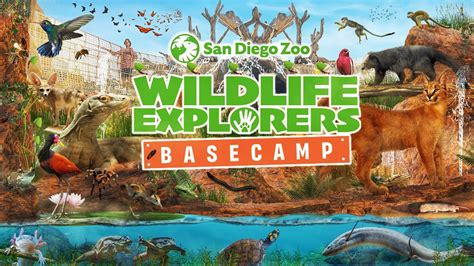 Zoo Tours New Wildlife Explorers Basecamp San Diego Zoo Youtube