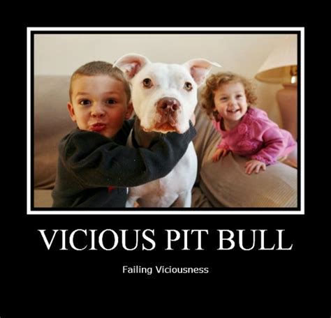 Pitbull Fail How Big Is Baby Baby Love Pit Dog Staffies Pit Bull