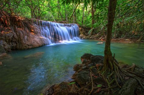 Jungle Forest Trees Stream Waterfall Rocks Nature Wallpapers Hd