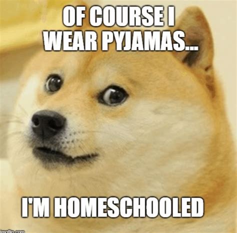 20 Funny Homeschool Memes To Make You Laugh Homeschool Memes Doge