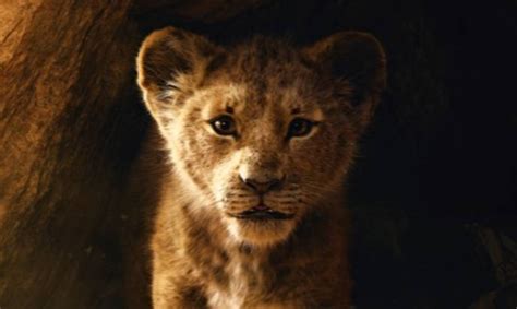 ‘the Lion King Remake Becomes Top Grossing Animated Movie Of All Time