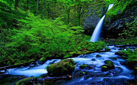 Waterfall And Stream Green Forest Rocks Green Moss Green