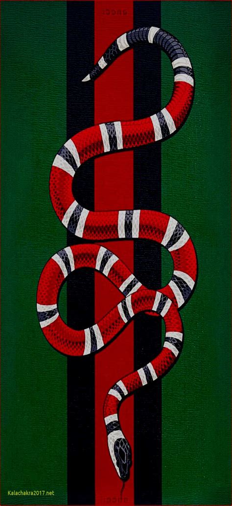 Gucci Snakes Wallpaper Walltwatchesco