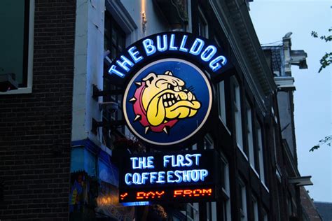 Coffeeshops In Amsterdam The Ultimate Guide Mr Amsterdam