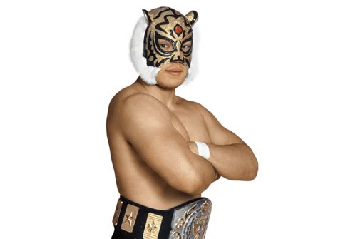 Tiger Mask Wrestler Mask