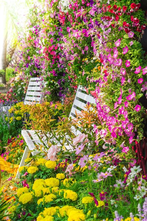 40 Colorful Garden Ideas Color Explosion Home Stratosphere