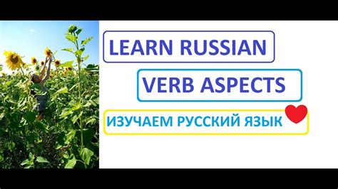 Verb Aspects In Russian Imperfective Vs Perfective Learn Russian