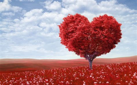 Red Love Heart Tree Wallpapers Hd Wallpapers Id 16776