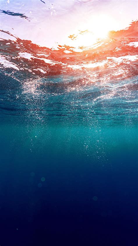 Underwater Photography Of Ocean Hd Wallpaper Wallpaper Flare